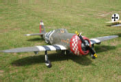 Dyl's P-47